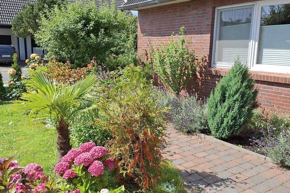 Ganze Wohnung, Gemütliches und Modernes Studio für eine \"Kleine Auszeit\" auf Pellworm in Tammensiel, Pellworm