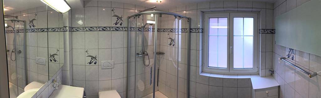 Ganze Ferienwohnung, Appartement/Fewo in Saas-Almagell, Walliser Alpen