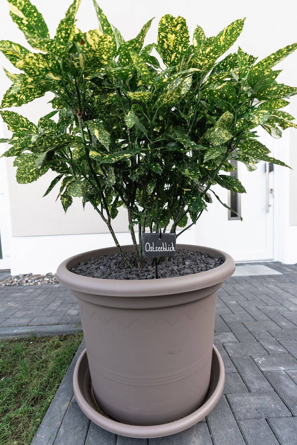 Ganze Wohnung, Herzlich willkommen im Ostseehaus am Naturstand - Ostseeblick! in Putgarten, Rügen