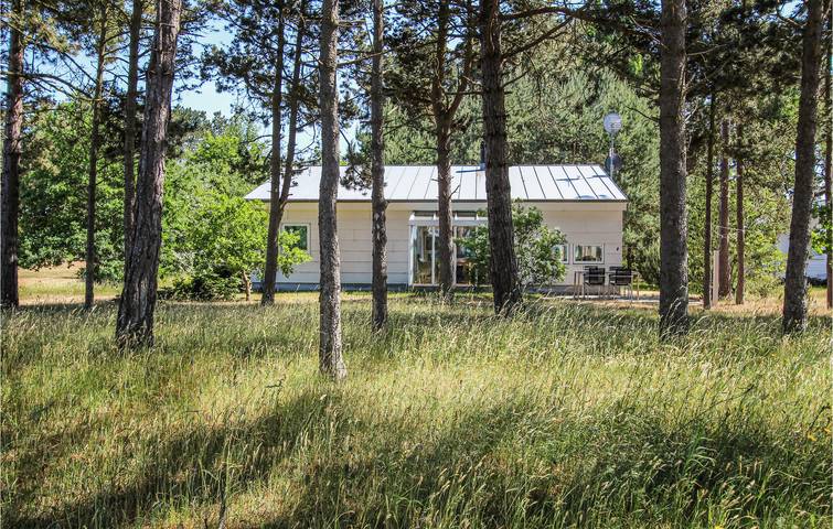 Bauernhof für 4 Personen, mit Haustier in Dänemark - 2