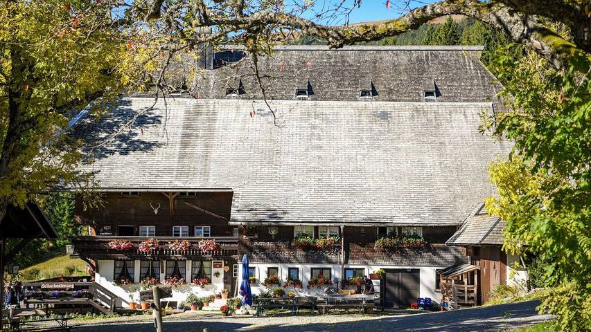 Chalet für 16 Personen, mit Garten, mit Haustier in Feldberg