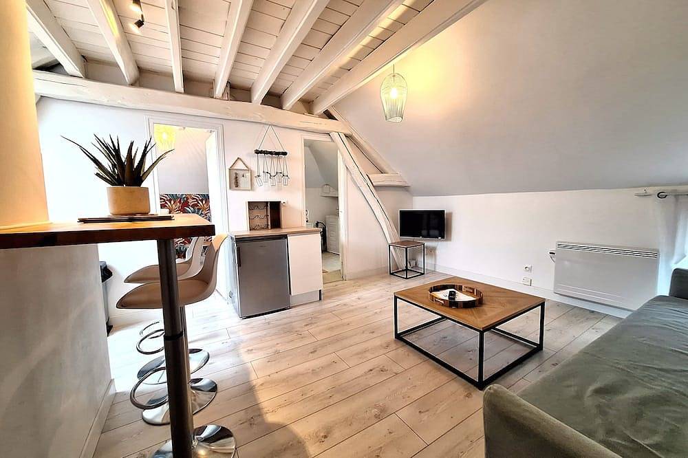 Appartement entier, Proche de tout, F1 calme et tout équipé, wifi in Troyes, Aube
