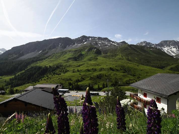 Apartamento entero, 2 estancias 4 Personas in Arosa (Grisones), Plessur alps
