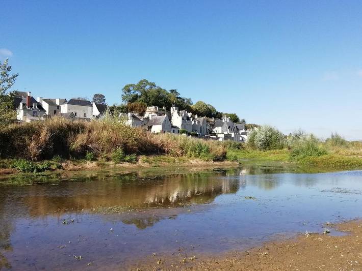Gîte pour 3 personnes, avec terrasse à Souzay-Champigny - 4
