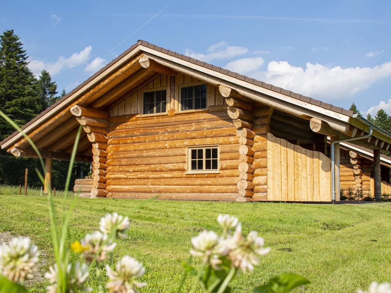 Holiday Home 'Blockhaus Almhütte Wiesenglück' with Private Terrace, Private Garden and Wi-Fi in Glatten, Central Black Forest