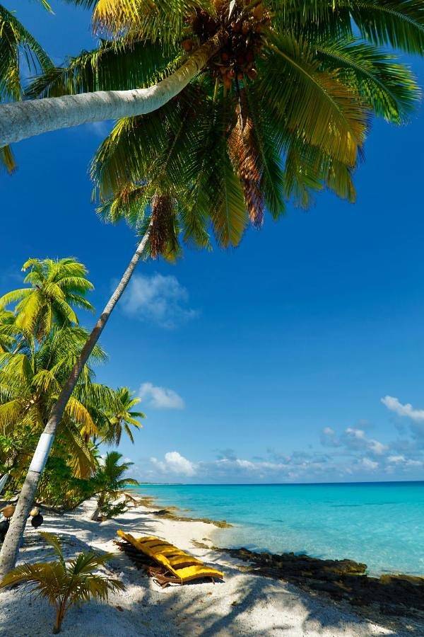 Location de vacances pour 6 personnes, avec jardin et vue dans Rangiroa - 3