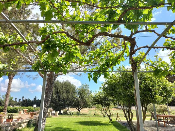 Villa 'Minioti Double Apartament' with Shared Terrace, Wi-Fi and Air Conditioning in Arnesano, Lecce Province
