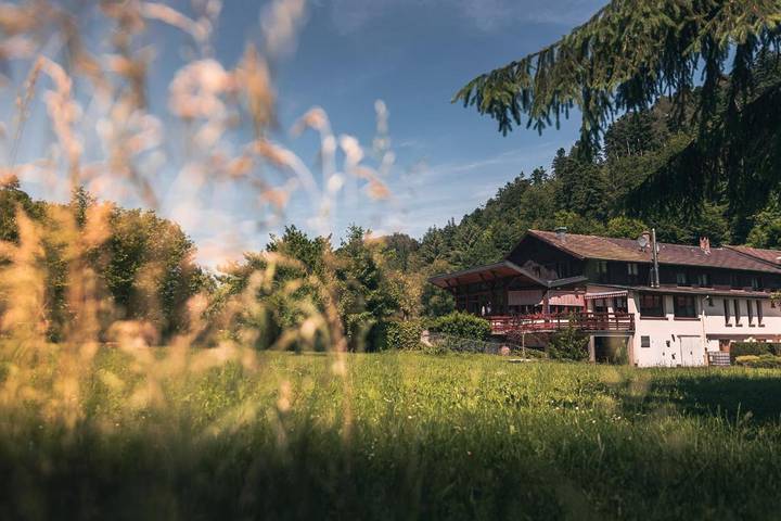 Hôtel pour 4 personnes, avec jardin et sauna ainsi que vue sur le lac et balcon à Eschbourg - 2
