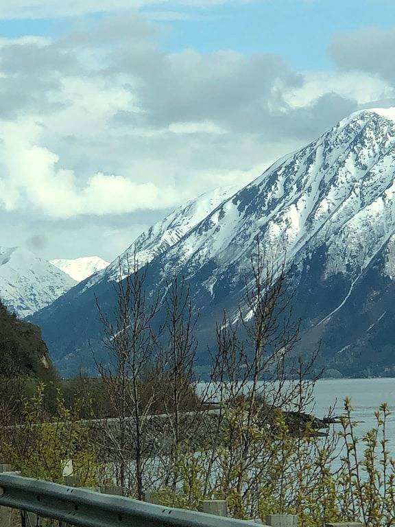 Ganze Wohnung, Kundenspezifisches Blockhaus in Girdwood, Alaska in Girdwood, Anchorage
