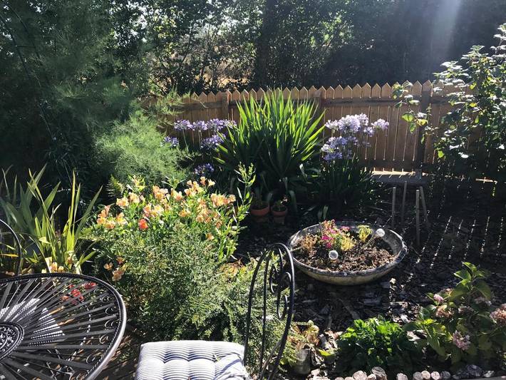 Appartement de vacances pour 2 personnes, avec jardin, animaux acceptés dans les Deux-Sèvres - 2