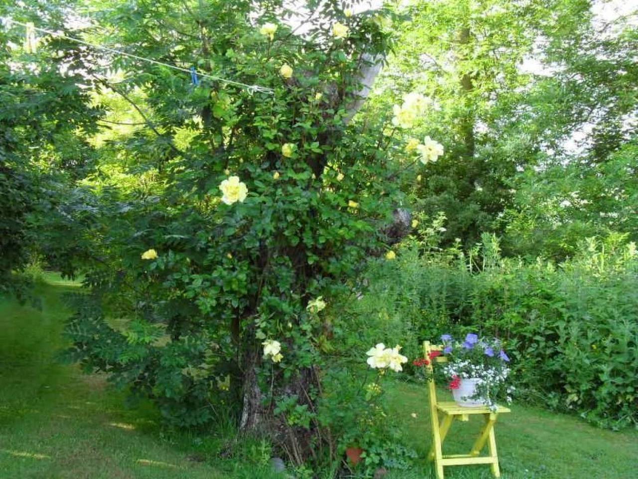 Ganze Wohnung, Canadahof in Pellworm, Nordseeküste