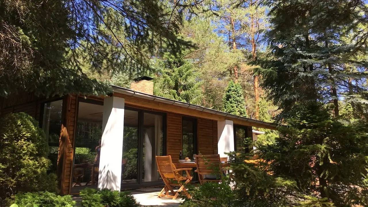 Bungalow für 2 Personen (40 m²) in Borkwalde in Borkwalde, Mittelmark