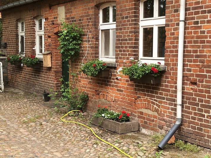 Ferienwohnung für 4 Personen, mit Haustier in Wendland