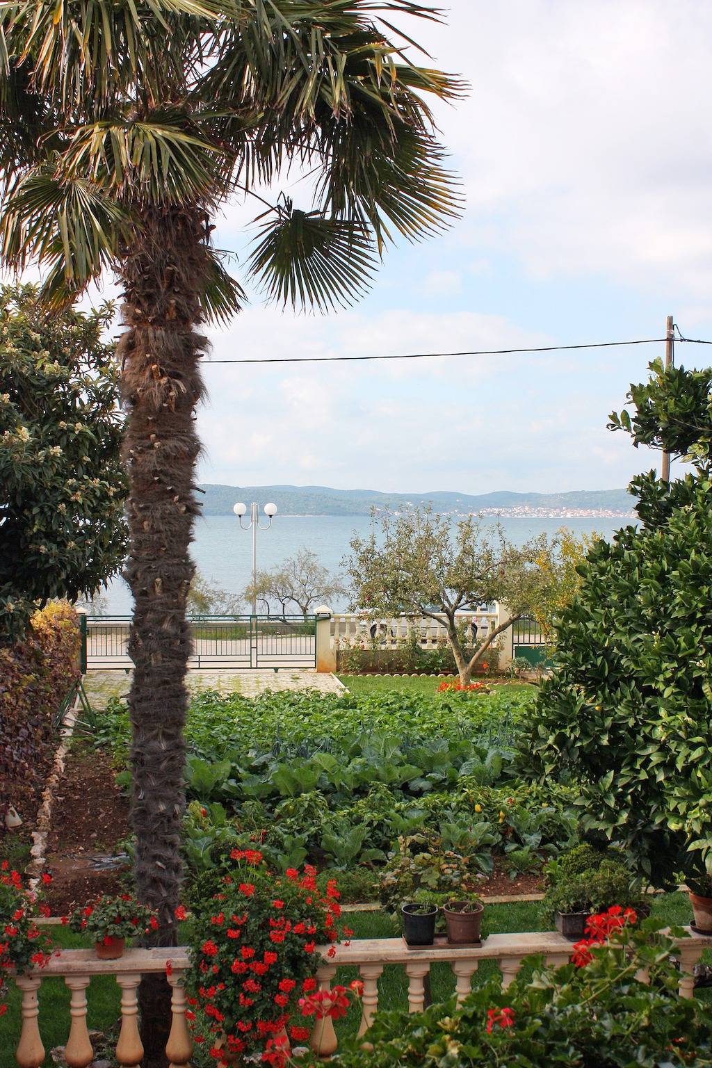 Entire apartment, One bedroom apartment near beach Bibinje, Zadar A-5866-a in Bibinje, Zadar