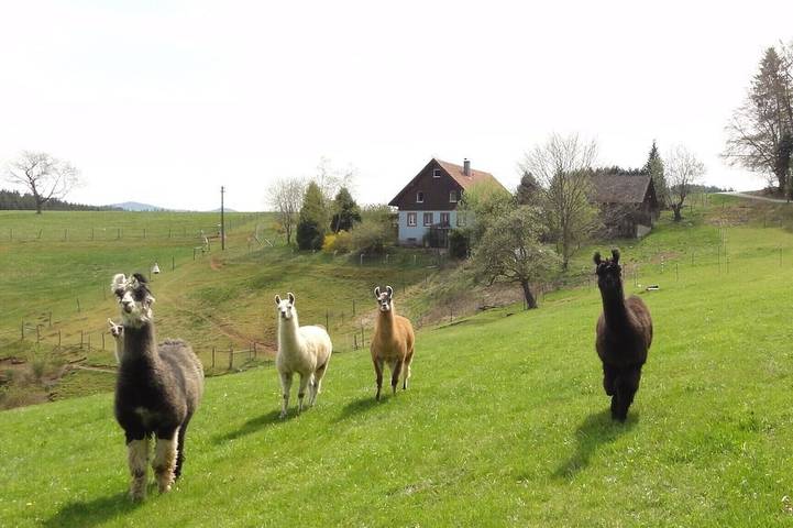 Agriturismo für 6 Personen in Biederbach