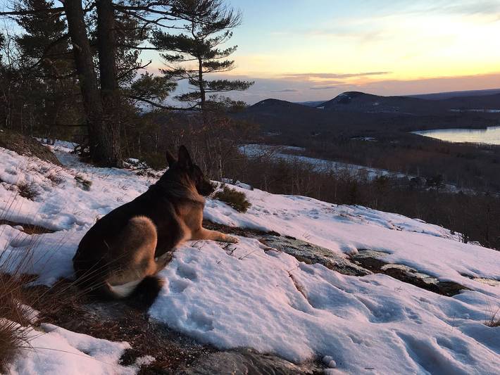 Vacation house for 8 people, with balcony and yard in Maine