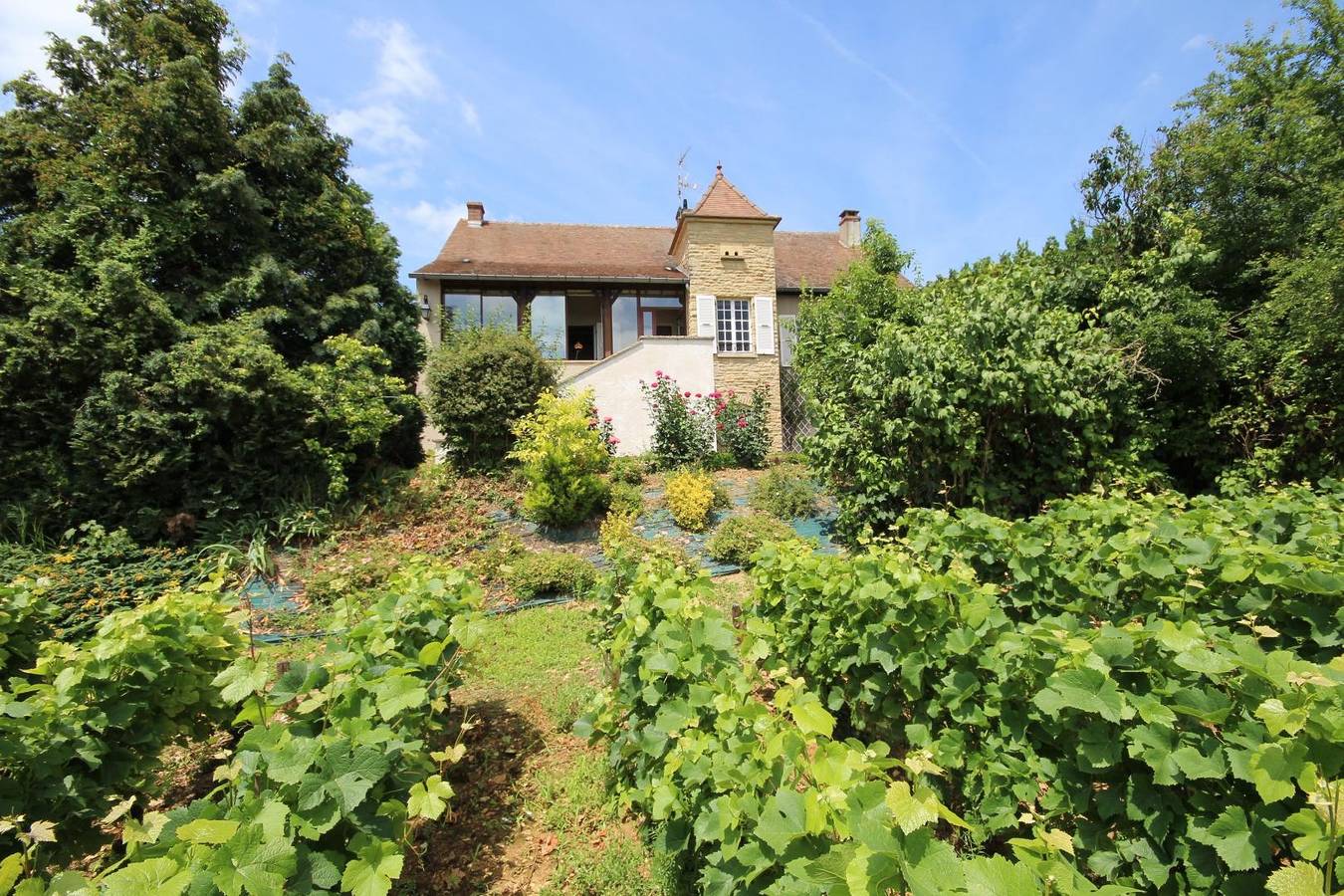 La Vigne des Guyons in Buxy, Chalon-sur-Saône e dintorni