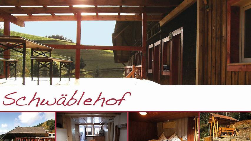 Ferienwohnung für 4 Personen, mit Garten, kinderfreundlich in Triberg