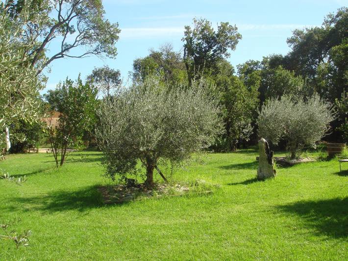 Location de vacances pour 2 personnes, avec jardin et piscine, animaux acceptés à Poggio-Mezzana - 4
