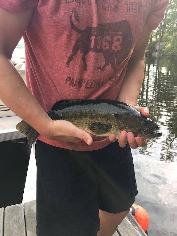 Modern Lake House on Secluded Cove with Private Peninsula in Enfield, Grafton County