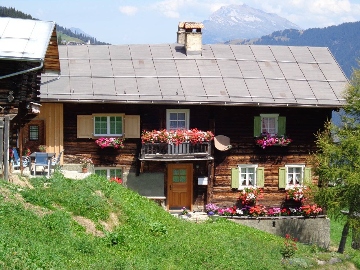 Ganze Ferienwohnung, Ferienwohnung Gün Derungs, Safien-Platz - 3 Zimmer Ferienwohnung für max. 4 Pers. in Safiental, Lepontinische Alpen