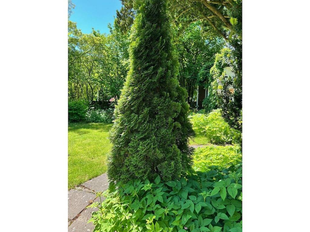 Casa de vacaciones con 4 dormitorios in Braunlage, Harzvorland