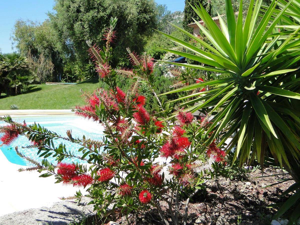 Villa Aurabelle für Familien und Genießer der Côte d'Azur in Vence, Mittelmeerküste (Frankreich)