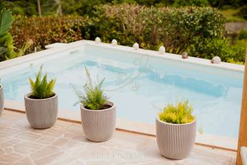 Casa Vacanza per 4 Persone in Polignano a Mare, Valle D'Itria, Foto 4