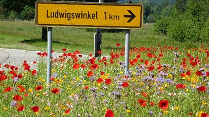 Ferienwohnung für 2 Personen in Ludwigswinkel, Pfälzer Wald, Bild 1