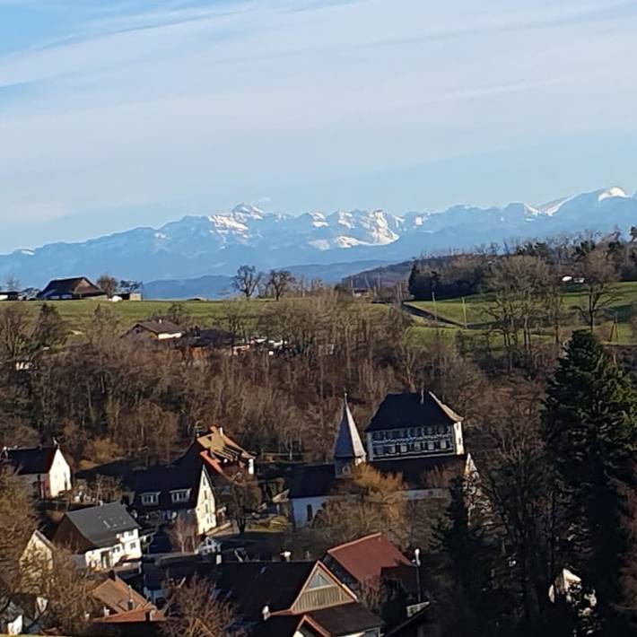 Ferienwohnung für 11 Personen, mit Balkon/Terrasse und Terrasse sowie Garten und Seeblick in Öhningen