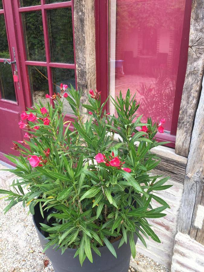 Gîte pour 2 personnes, avec vue et jardin, adapté aux familles à La Ferté-Beauharnais