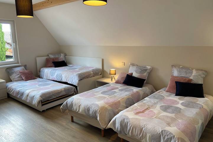 Location de vacances pour 10 personnes à Hilsenheim - 2