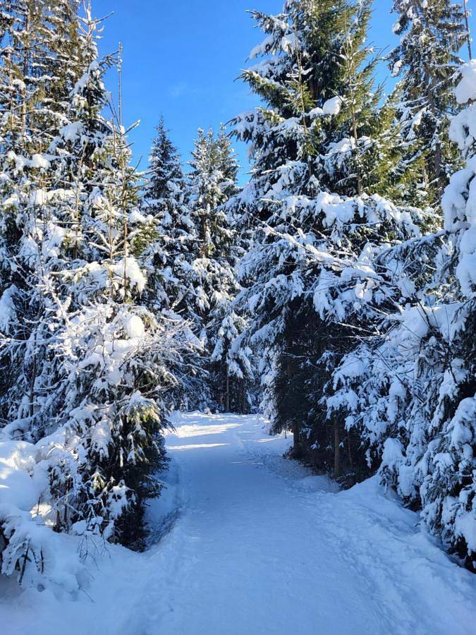 BnB für 2 Personen, mit Ausblick und Garten im Brixental - 3