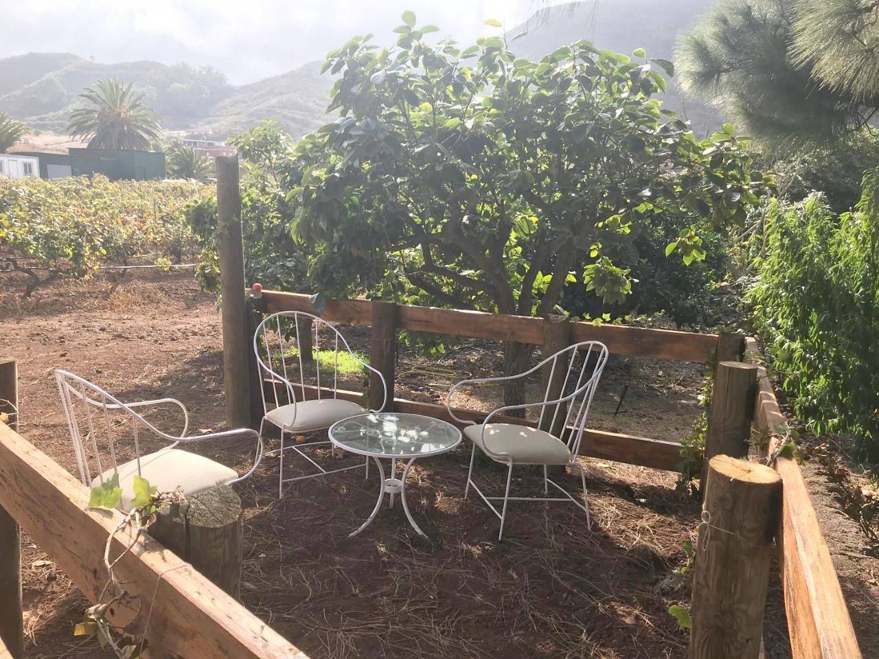 Finca El Vergel Rural in Molina (Canary Islands), San Cristóbal de La Laguna