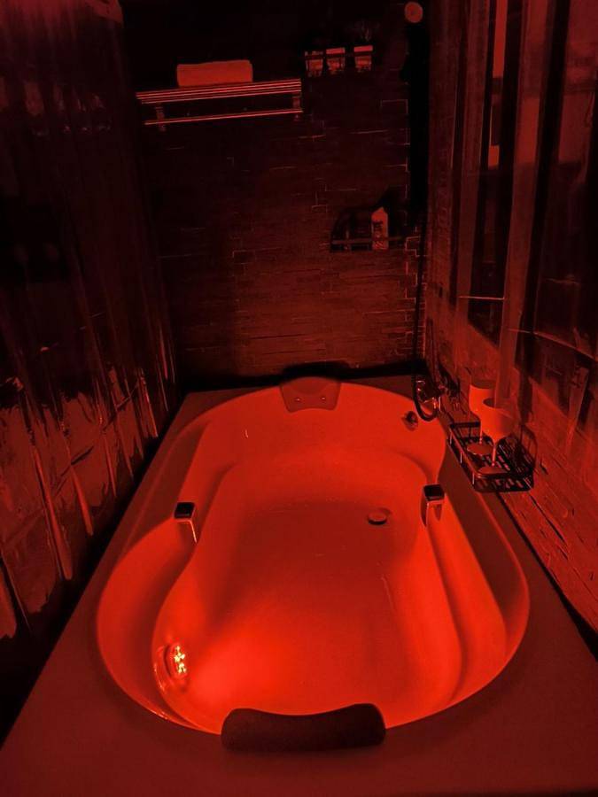 Maison d’hôte pour 3 personnes, avec terrasse et vue à Bormes-les-Mimosas - 3