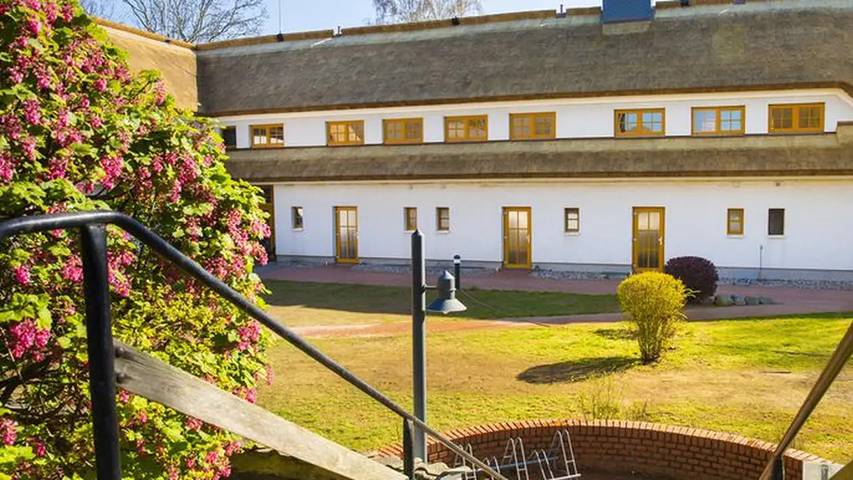 Hütte für 3 Personen, mit Terrasse auf Rügen - 4