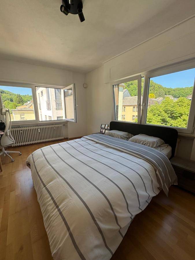 Appartement de vacances entier, Room for business trip, university phd student in Differdange, Luxembourg