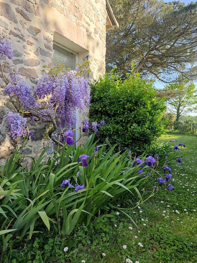 Location de vacances pour 5 personnes, avec terrasse et jardin à Frossay - 2
