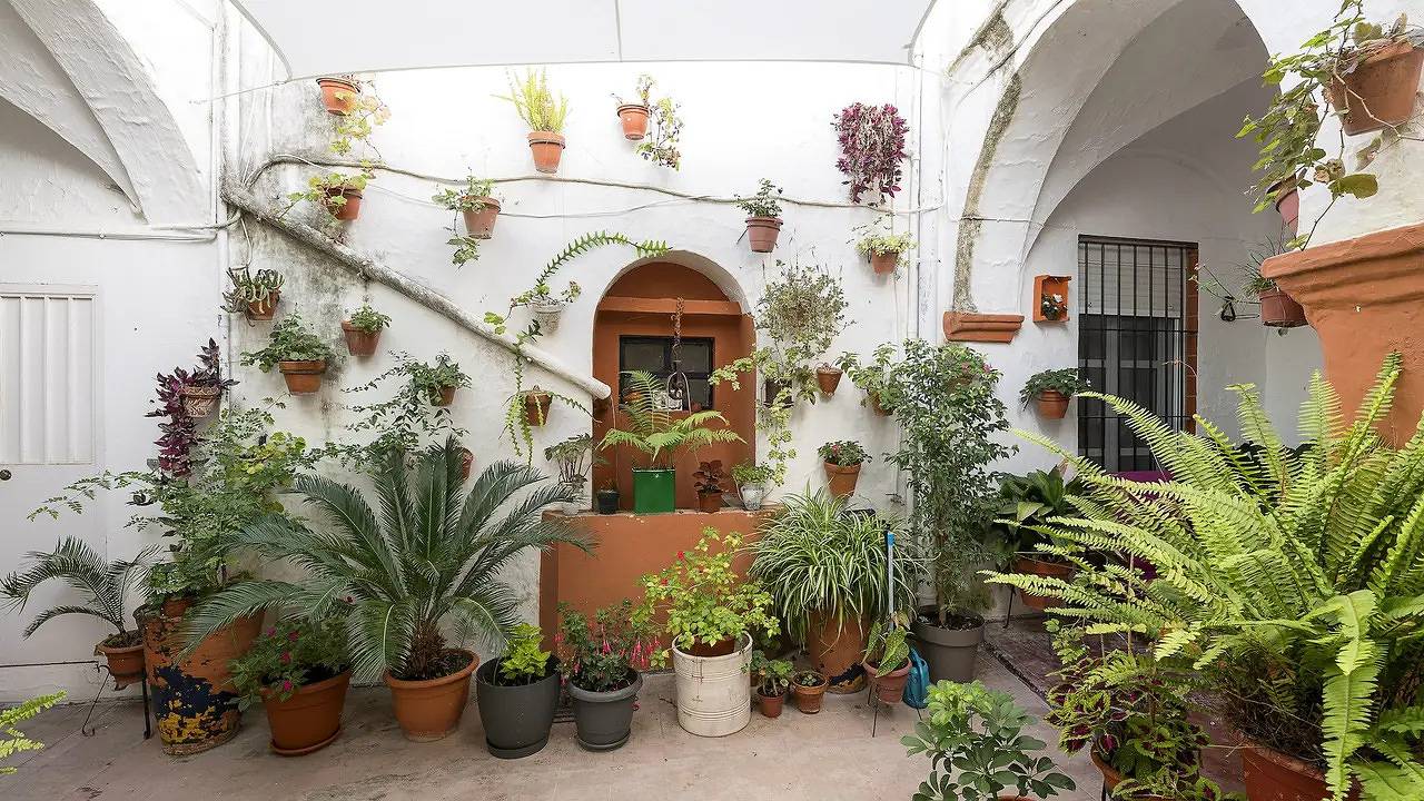 Appartamento intero, Ferienwohnung für 4 Personen in Arcos de la Frontera in Arcos de la Frontera, Pueblos Blancos