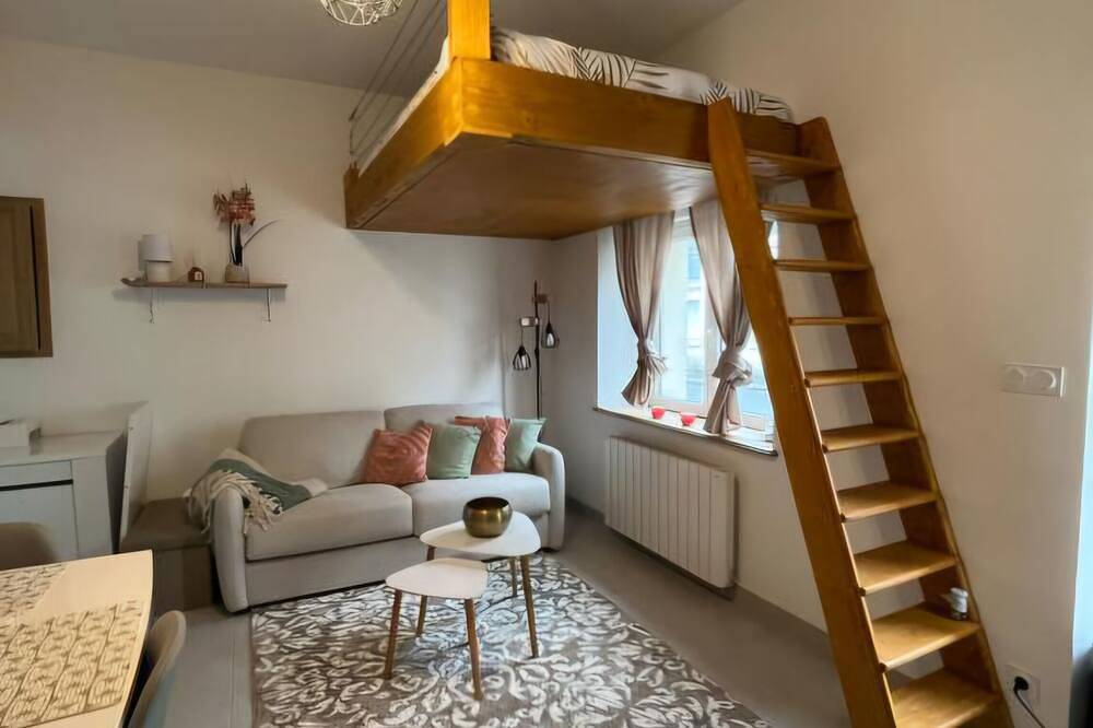 Entire apartment, The little \"Sunshine\" cosy in Romorantin-Lanthenay, Sologne