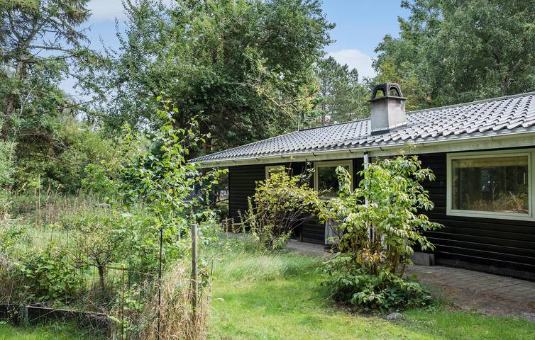 Ferienhaus für 5 Personen mit Terrasse in Rørvig, Nordwestseeland