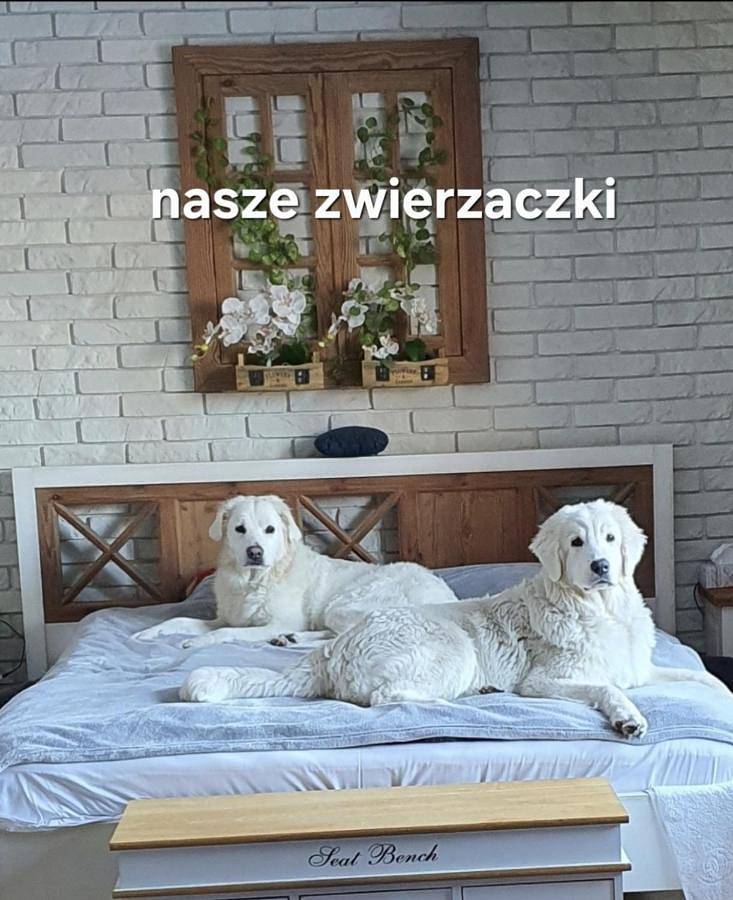 Ganze Wohnung, Two-Bedroom Apartment in Siemiany, Seenplatte von Ilawa