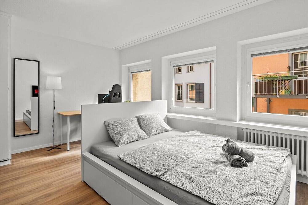 Appartamento intero, City Center_Twin Bed_Workplace_Washer in Winterthur, Canton Zurigo