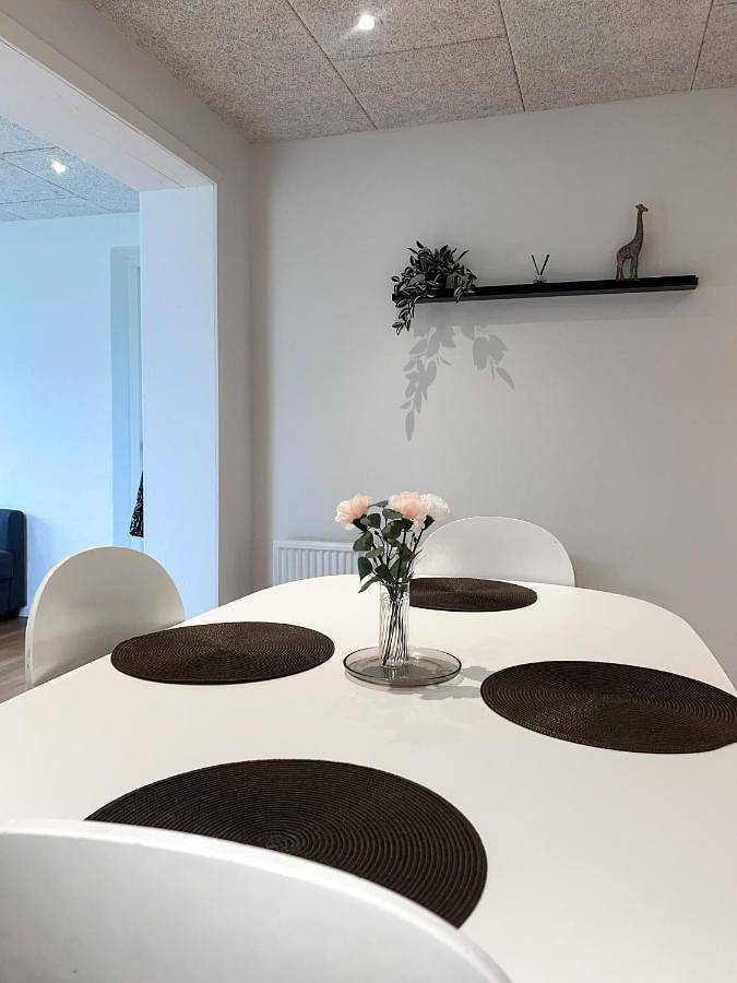 Gîte pour 4 personnes, avec jardin ainsi que vue et terrasse à Billund - 2