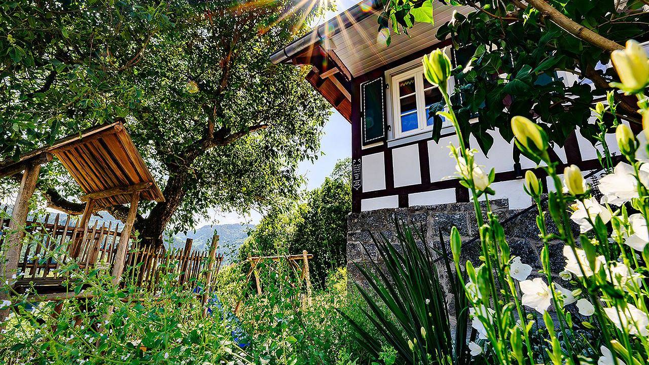 Ferienhaus für 10 Personen (170 m²) in Ottenhöfen im Schwarzwald in Ottenhöfen im Schwarzwald, Mittlerer Schwarzwald