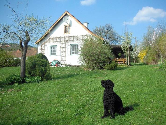 Ferienhaus für 8 Personen, mit Terrasse und Garten sowie Sauna und Ausblick in Pöllauberg
