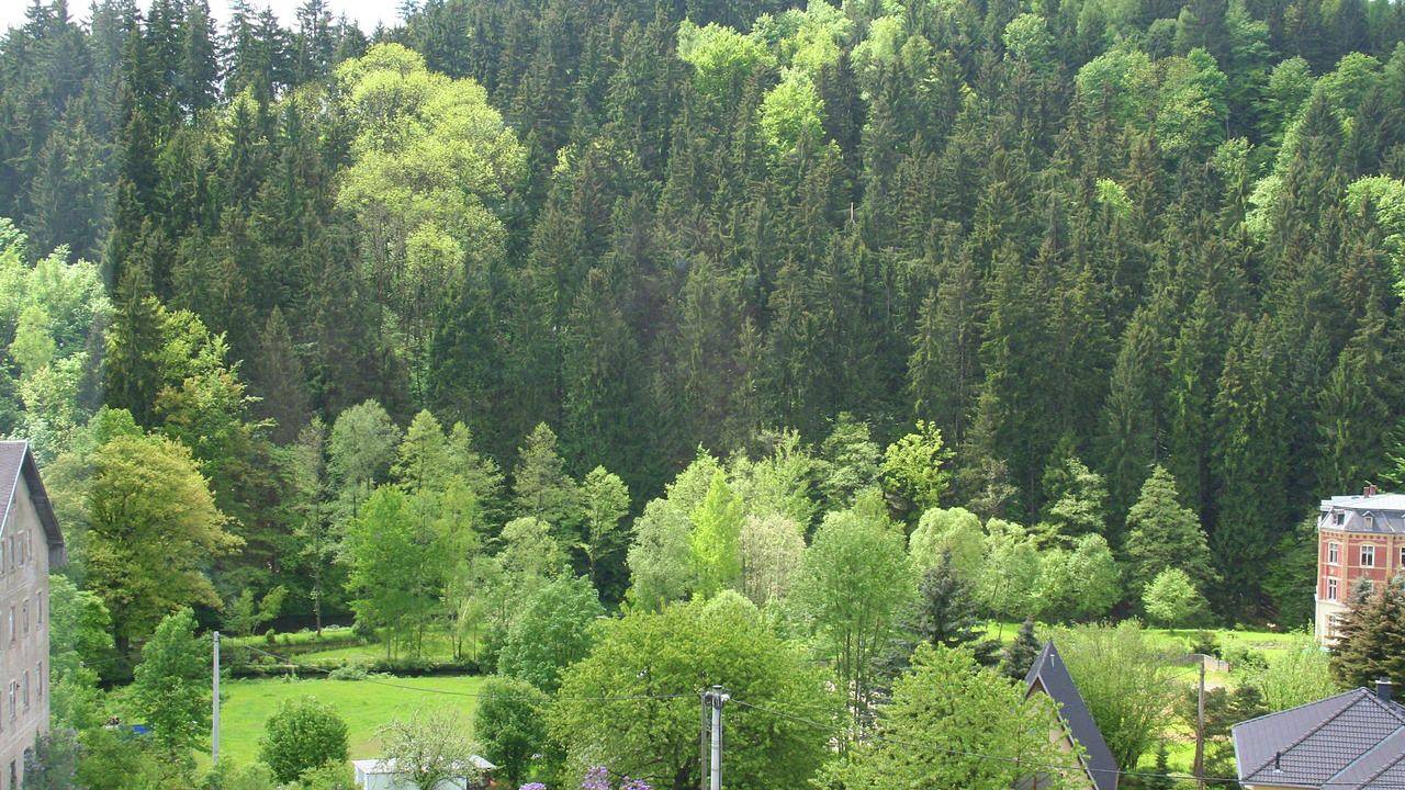Villa für 4 Personen (70 m²) in Borstendorf in Grünhainichen, Erzgebirge
