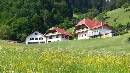 Cottage pour 3 personnes, avec jardin, animaux acceptés à Oberharmersbach