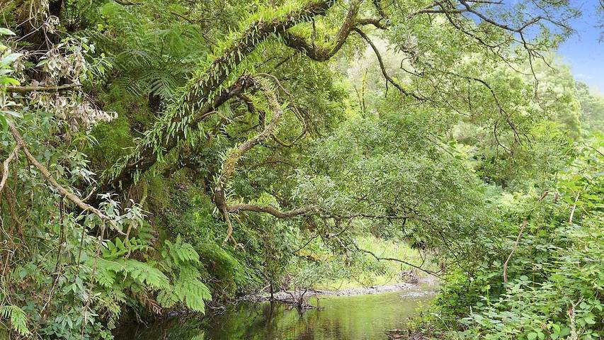 Ferienhaus für 8 Personen, mit Balkon und Garten - 1