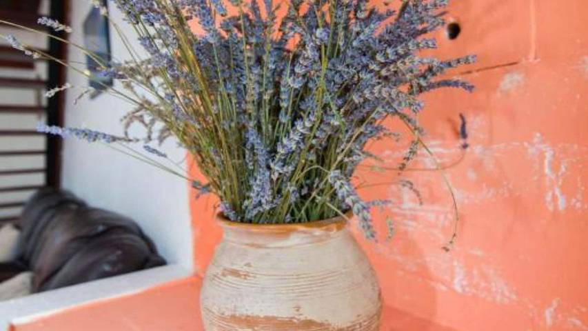 Ferienwohnung für 5 Personen, mit Terrasse in Veli Losinj - 2